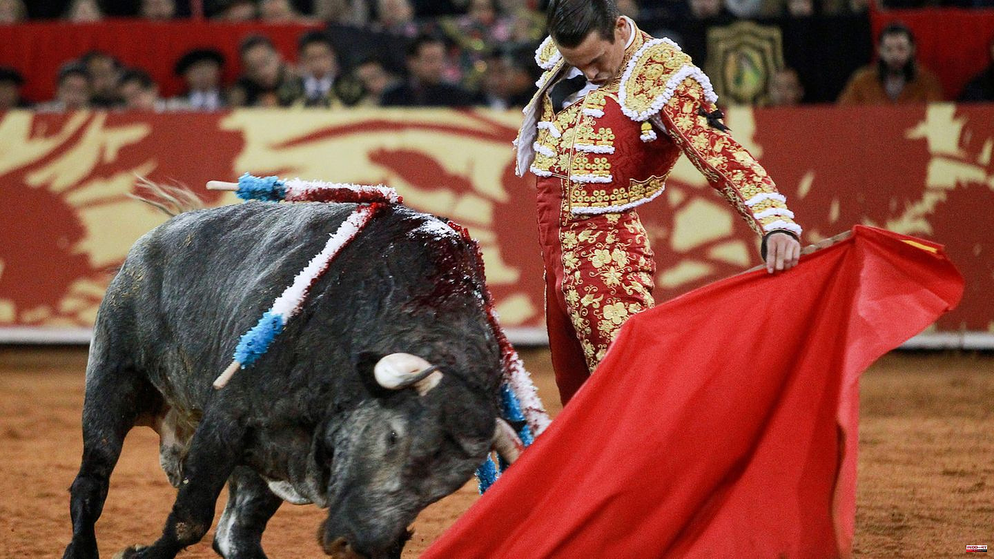 Criticism from animal rights activists: Mexico City resumes bullfights – President calls for referendum