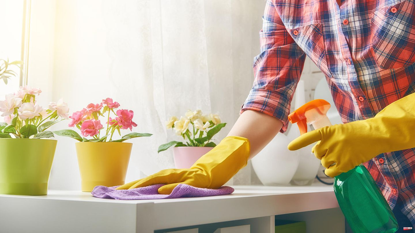 Household tips: Dusting again? How to save time (and nerves)