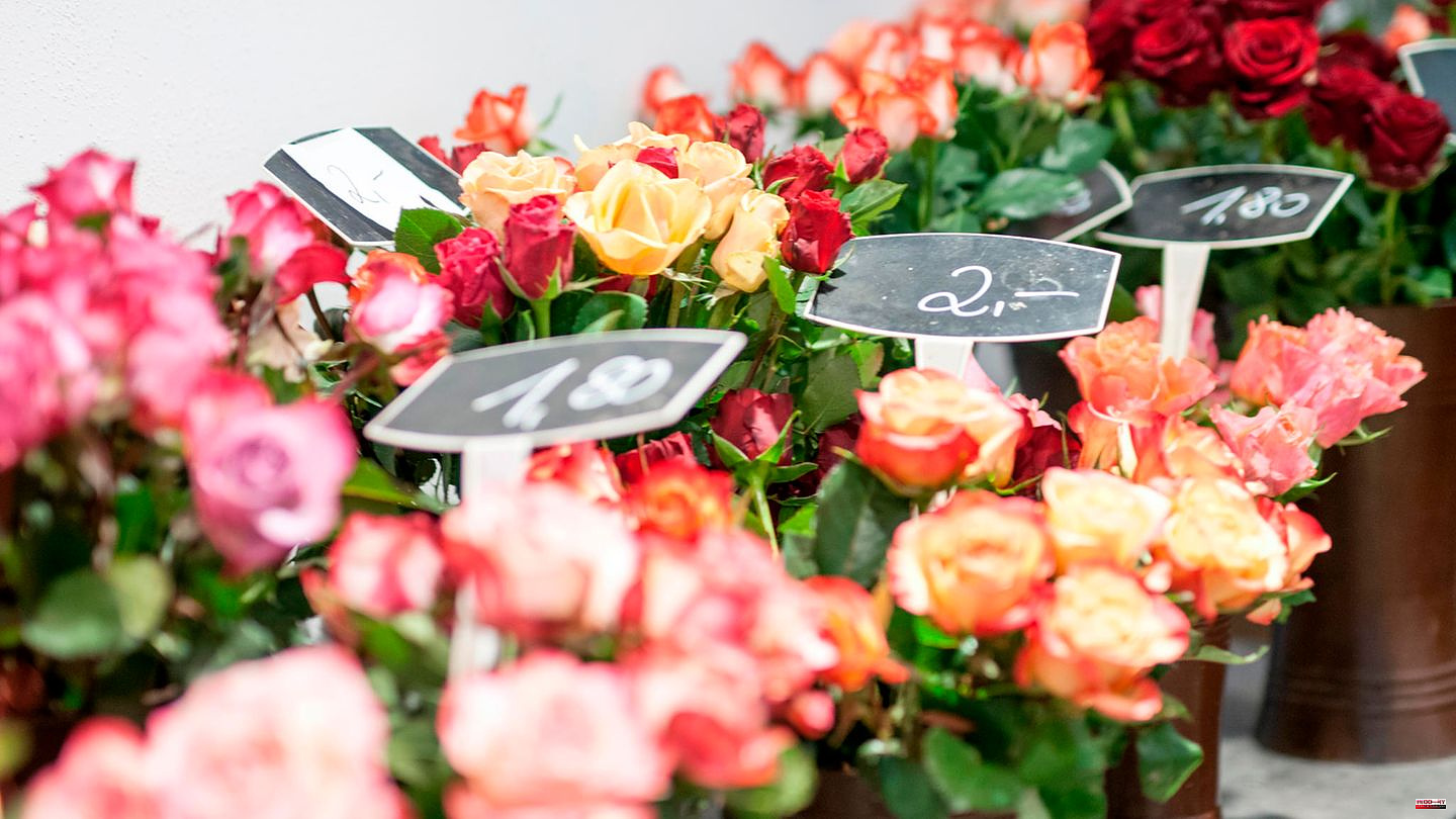 Questions and answers: Popular Valentine's Day gift: How sustainable are cut flowers?