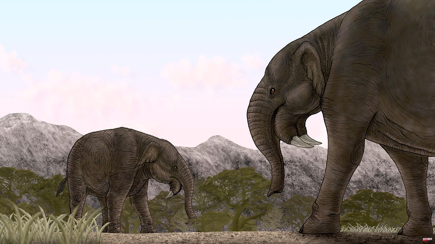 Paleontology: What the sensational find from Erding reveals about prehistoric elephants from Germany