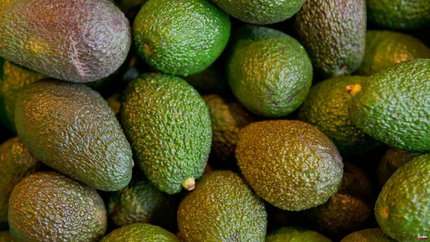 World trade: Controversial superfruit - avocado boom in Germany
