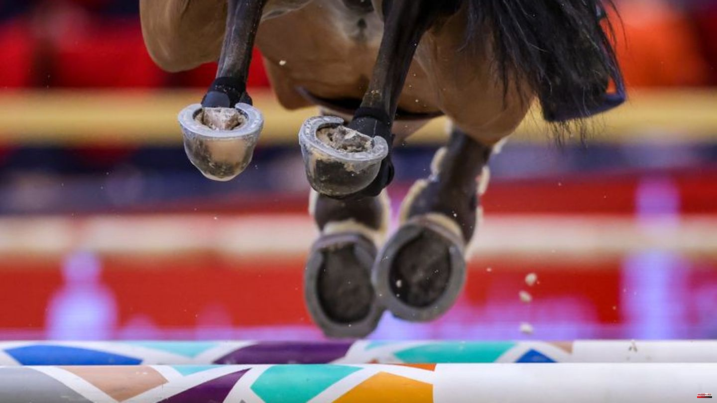 Equestrian sport: World Cup in Riyadh: sportwashing with horses or tradition?