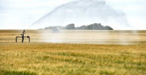 Dry summer was given agriculture to use the 71 percent...