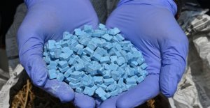 Police finds hidden laboratories and 700 kilos of...