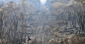 Fires get the australian state to introduce a state...