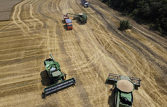 UN: Ukraine war to harm poor countries importing grain