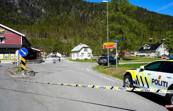 Four people injured in a stab attack in Norway
