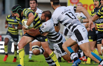 Stade Montois Rugby - Du Plessis is in the group to face Nevers

