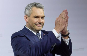 100 percent of the votes: Austria's chancellor elected ÖVP boss