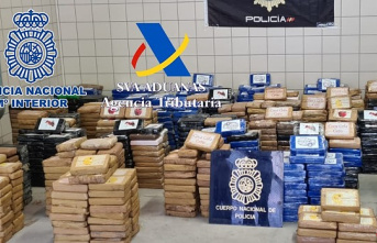 Seized 1,500 kilos of cocaine, in a cardboard shipment, in the Port of Barcelona