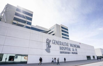 They denounce that the Valencian Community needs 1,617 more midwives to meet the WHO standards