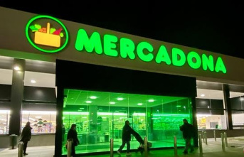 Mercadona triggers its economic impact in Spain to 660,000 jobs and 25,000 million euros