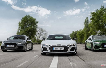 Audi: "Sales have fallen because brands focus...