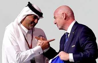 Frightening FIFA story hour: World Cup hotels in Qatar reject homosexuals