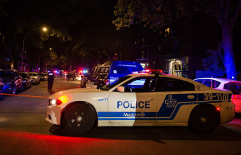 Armed violence in Montreal: $1 million for research