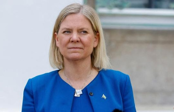 Sweden's ruling party supports applying for NATO...