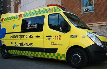 One deceased and one injured after colliding a van and a truck in Bercianos del Pámo (León)