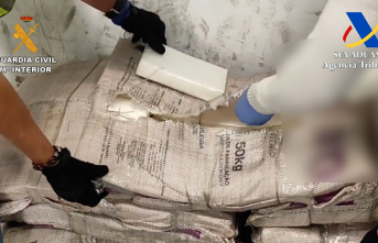 They hid 215 kilos of cocaine in sacks of white sugar,...