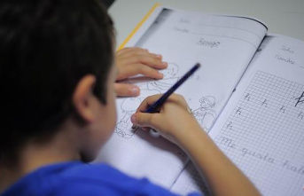 The Government dodges 25% of Spanish with a survey aimed at educational centers