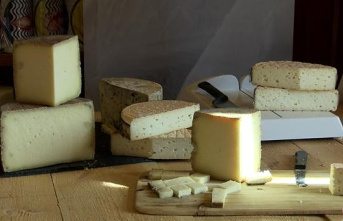 'Caminos del Queso', a journey through the province of Valladolid through the artisan and innovative flavor