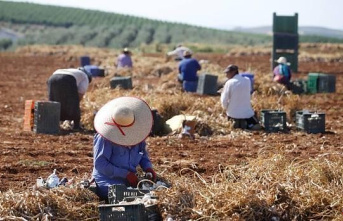 Asaja Castilla-La Mancha asks for explanations on how to apply the new labor reform in this year's agricultural campaigns