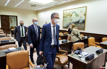 The governor of the Bank of Spain appears in Congress after questioning the management of the crisis