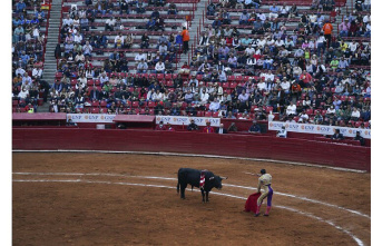 Justice. Mexico City temporarily suspends bullfights
