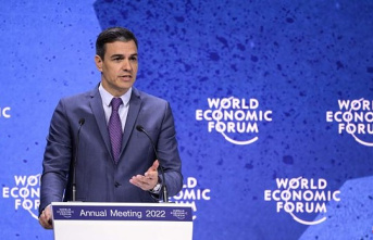 Sánchez announces in Davos that Sweden and Finland will be at the NATO summit in Madrid