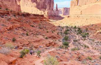 Splendours and colors at Arches National Park