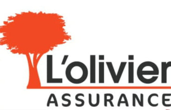 L'olivier Assurance: the next generation insurance