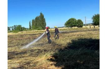 Saint-Rambert-d'Albon. Drome: More than 1,000 m2 of crops go into smoke
