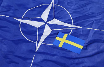 Project is progressing: Sweden's ruling party votes for NATO membership application