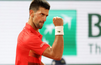 Roland-Garros: Djokovic qualified without hanging out at night