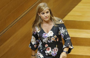 The PP denounces that the Generalitat has a secret summary report on the case of Ximo Puig's brother