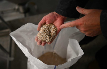Russian grain theft from Ukraine 'disgusting',...