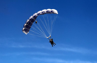 103-year-old Swede breaks skydiving world record
