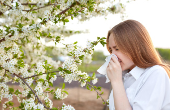 Pollen allergy: these apps that help identify areas to avoid