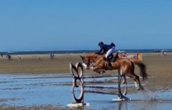 Arcachon Bay: Olivier Robert won the Jumping des Sables Derby at Pereire
