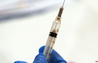 Covid vaccines: the European Commission could terminate...