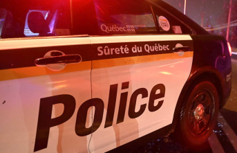 Mauricie: six arrests and ten weapons seized in an...