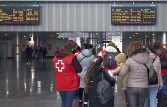 Red Cross has assisted 1,608 displaced Ukrainians since the beginning of the invasion