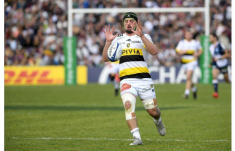 Rugby. Champions Cup: La Rochelle knocks on the door...