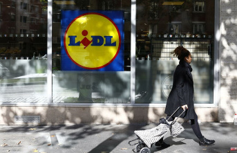Purchasing power: in the face of inflation, Lidl offers...