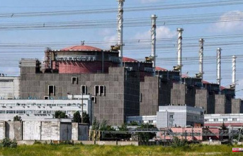 Russia wants to leave Ukraine without the electricity produced by the Zaporizhia nuclear power plant