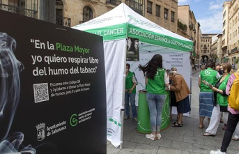 They collect signatures to convert the Plaza Mayor...