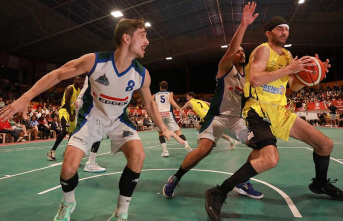 Basketball / "South West" Super Cup: ADB still crowned against Saint-Medard-en-Jalles
