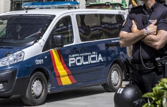 They arrest a woman for mistreating and causing several convulsive crises to her one-year-old daughter in Alicante