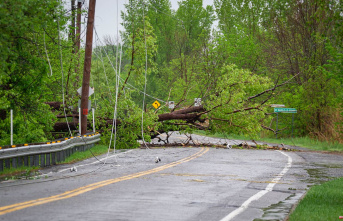 Bad weather: breakdowns and damage in several regions...