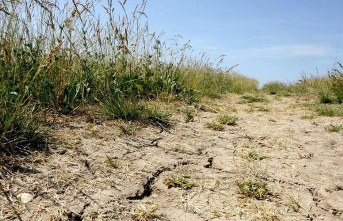 Drought: 24 departments, including 4 in New Aquitaine,...