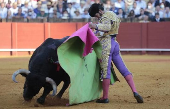 Tickets for the two bullfights of Corpus de Toledo go on sale online